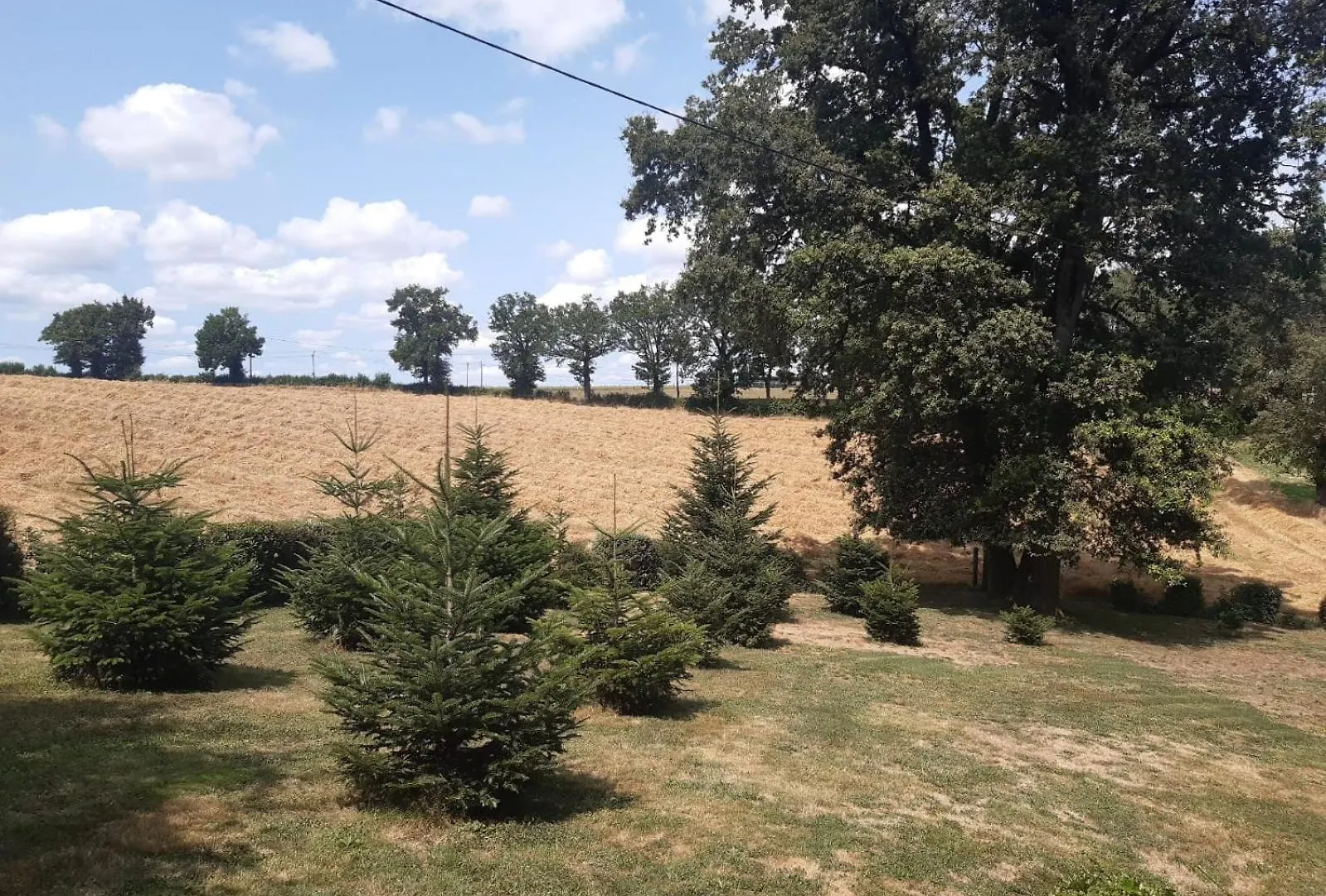 Gite Amelie Lanuejouls-et-Privezac France